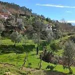 Casa Fragas セロリコ・デ・バスト