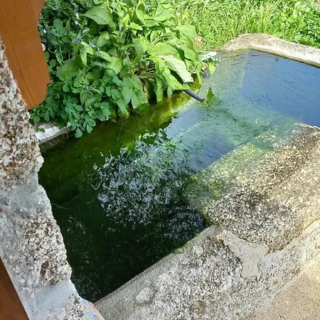 Chalé Casa Fragas Celorico De Basto