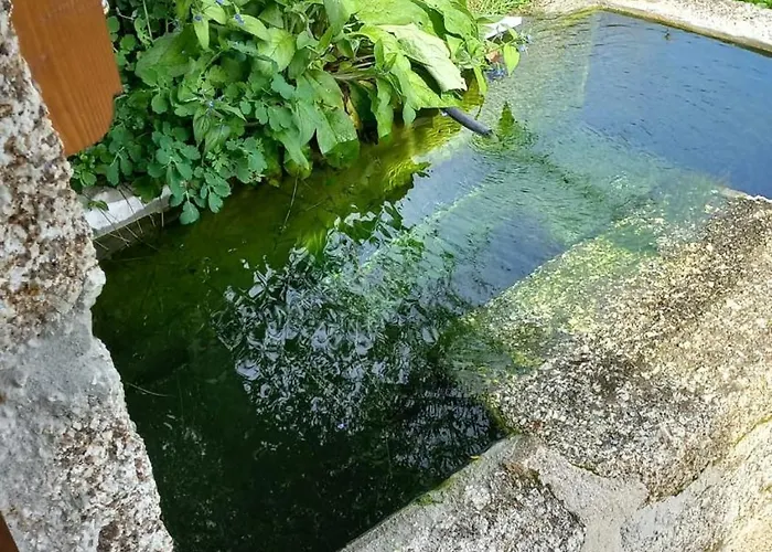 Chalet Casa Fragas Celorico De Basto