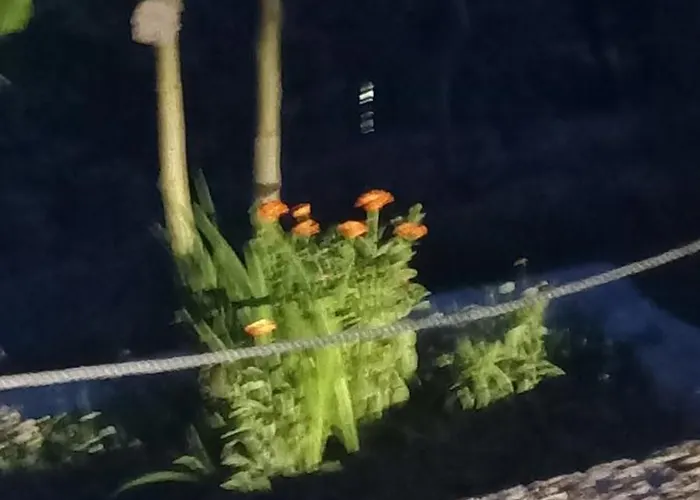 Casa Fragas * Celorico De Basto